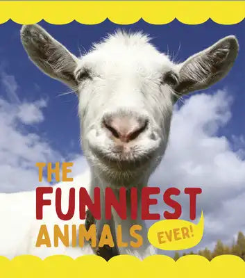The Funniest Animals Ever