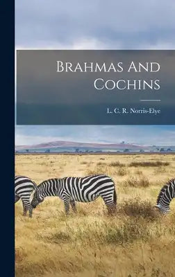 Brahmas And Cochins