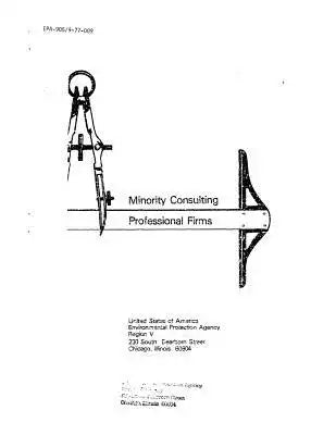 Minority Consulting Professional Firms
