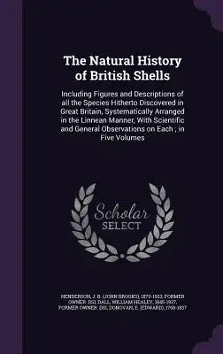 The Natural History of British Shells: Including Figures and Descriptions of All the Species Hitherto Discovered in Great Britain, Systematically Arra