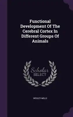 Functional Development of the Cerebral Cortex in Different Groups of Animals