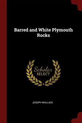 Barred and White Plymouth Rocks