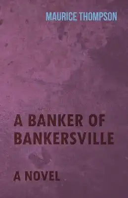 A Banker of Bankersville - A Novel