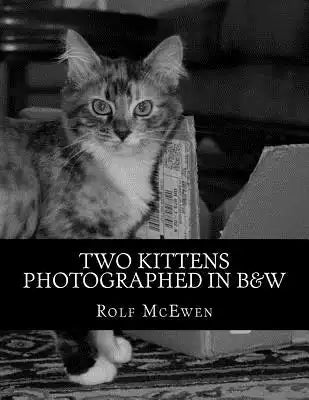 Two Kittens Photographed in B&W