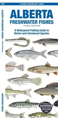 Alberta Freshwater Fishes: A Folding Pocket Guide to Native and Introduced Species