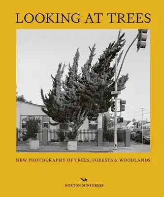 Looking at Trees: New Photography of Trees, Forests and Woodlands