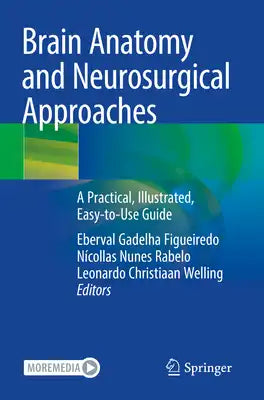 Brain Anatomy and Neurosurgical Approaches: A Practical, Illustrated, Easy-To-Use Guide