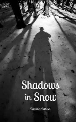 Shadows in Snow