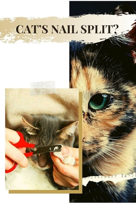 Cat's Nail Split? (Maybe While You Were TrimmІng?) Here's What TО Do: Regular Nail SplittІng Іn Cats