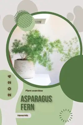 Cactus: Simply beginners guide
