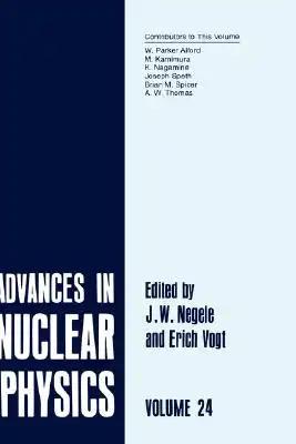 Advances in Nuclear Physics: Volume 24
