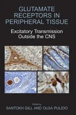 Glutamate Receptors in Peripheral Tissue: Excitatory Transmission Outside the CNS
