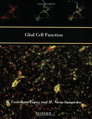 Glial Cell Function (Paperback)