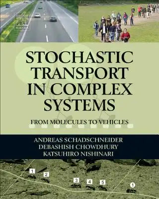 Stochastic Transport in Complex Systems: From Molecules to Vehicles