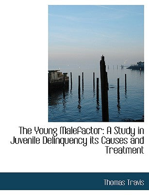 The Young Malefactor: A Study in Juvenile Delinquency Its Causes and Treatment (Large Print Edition)