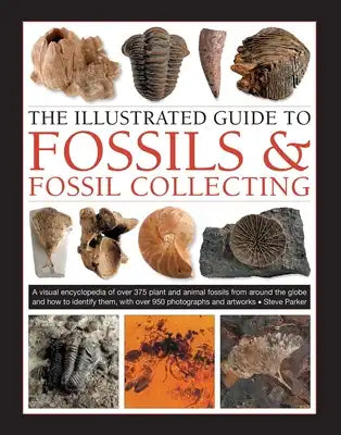 The Illustrated Guide to Fossils & Fossil Collecting: A Reference Guide to Over 375 Plant and Animal Fossils from Around the Globe and How to Identify
