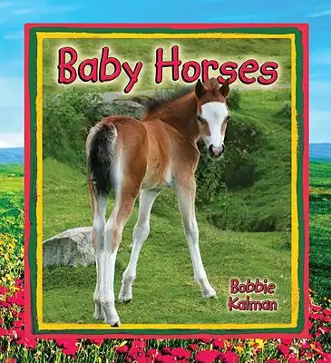 Baby Horses