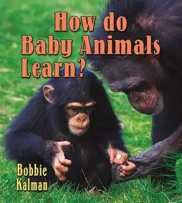 How Do Baby Animals Learn?