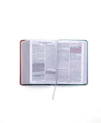 Biblia de Promesas Reina Valera 1960 / Compacta / Letra Grande / Piel Especial / Vintage // Spanish Promise Bible Rvr60 / Compact / Large Print / Leat
