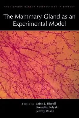 Mammary Gland as an Experimental Model