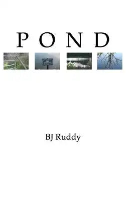 Pond