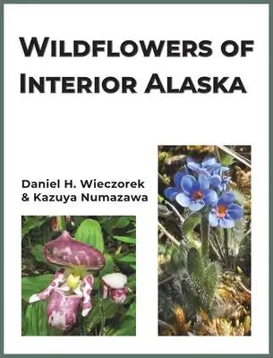Wildflowers of Interior Alaska