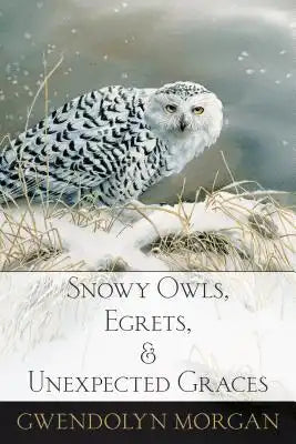 Snowy Owls, Egrets, and Unexpected Graces