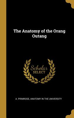 The Anatomy of the Orang Outang
