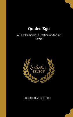 Quales Ego: A Few Remarks In Particular And At Large