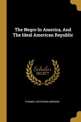 The Negro In America, And The Ideal American Republic