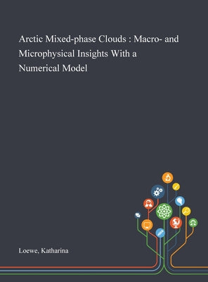 Arctic Mixed-phase Clouds: Macro- and Microphysical Insights With a Numerical Model