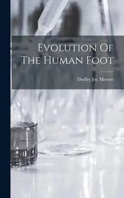 Evolution Of The Human Foot
