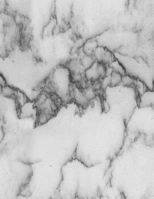 Marble Notebook (College Ruled Notebook for School): College Essential