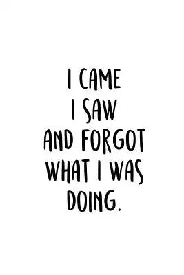 I Came I Saw And Forgot What I Was Doing.: An Irreverent Snarky Humorous Sarcastic Funny Office Coworker & Boss Congratulation Appreciation Gratitude