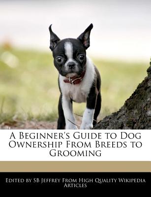 A Beginner's Guide to Dog Ownership from Breeds to Grooming