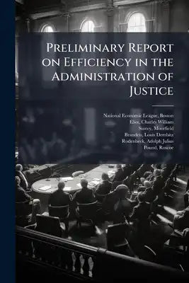 Preliminary Report on Efficiency in the Administration of Justice