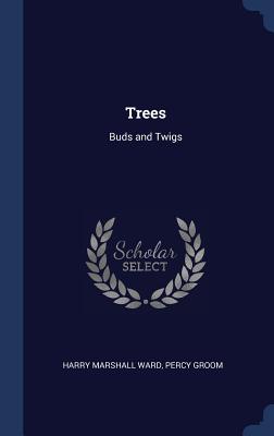 Trees: Buds and Twigs