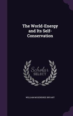 The World-Energy and Its Self-Conservation