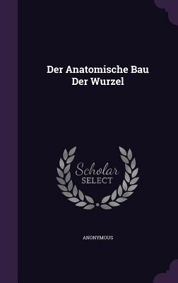 Der Anatomische Bau Der Wurzel