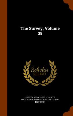 The Survey, Volume 38
