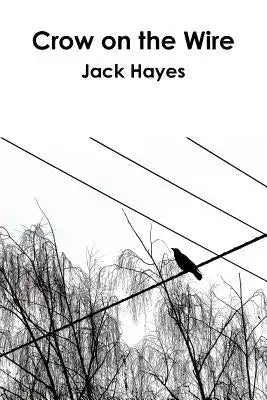 Crow on the Wire