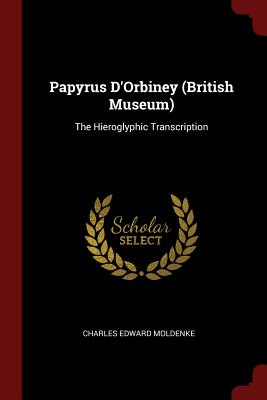 Papyrus d'Orbiney (British Museum): The Hieroglyphic Transcription
