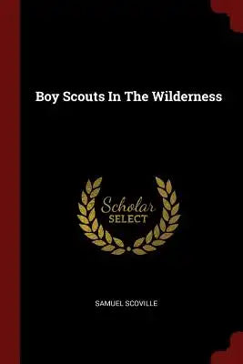 Boy Scouts In The Wilderness
