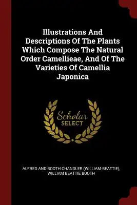 Illustrations and Descriptions of the Plants Which Compose the Natural Order Camellieae, and of the Varieties of Camellia Japonica