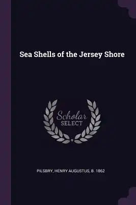 Sea Shells of the Jersey Shore