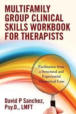 Multifamily Group Clinical Skills Workbook for Therapists: Facilitation from a Structural and Experiential Theoretical Lens