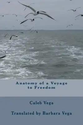 Anatomy of a Voyage to Freedom