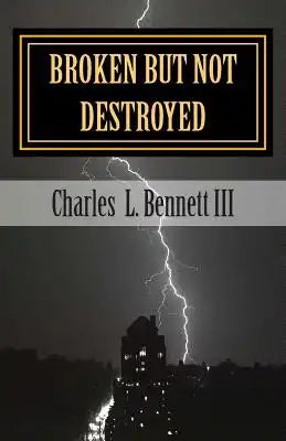 Broken But Not Destroyed: Overcoming my felonies with Christ