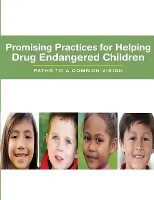 Promising Practices for Helping Drug Endangered Children: Paths to a Common Vision
