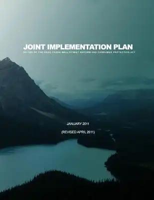 Joint Implementation Plan 301-326 of the Dodd-Frank Wall Street Reform and Consumer Protection Act: January 2011(Revised April 2011)
